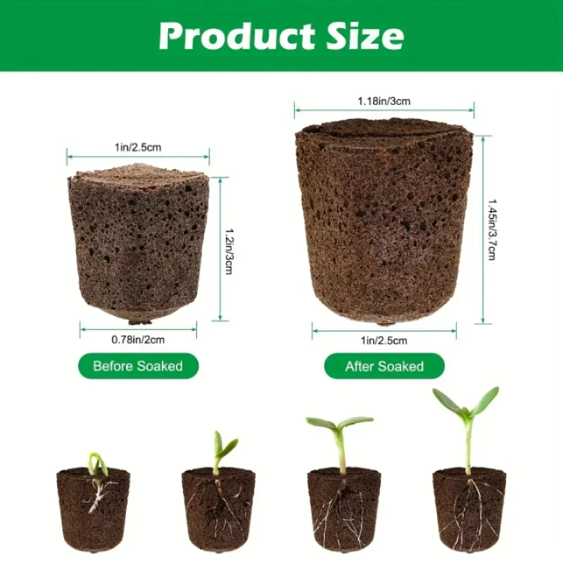 Hydroponic Kit - مجموعة إسفنجية لبدء زراعة الشتلات في