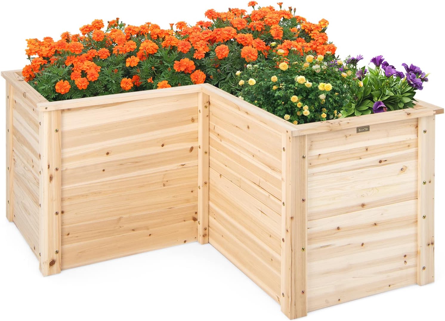 Raised Garden Bed - حوض زراعة خشبي صلب للاستخدام الخارجي