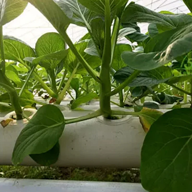 Hydroponic Kit - مجموعة نظام الزراعة بدون تربة، حديقة