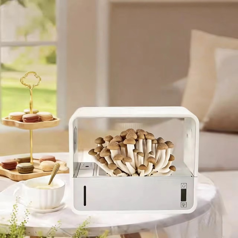 نظام زراعة الفطر المكتبي هيدرو - مراجعة Hydroponic Kit وسعره