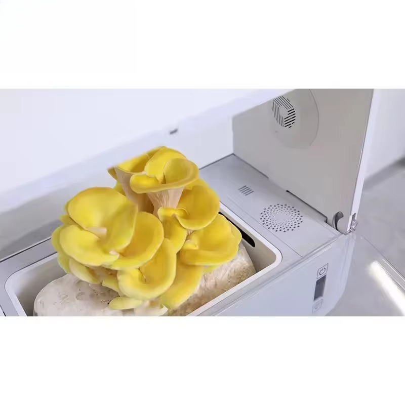 نظام زراعة الفطر المكتبي هيدرو - مراجعة Hydroponic Kit وسعره
