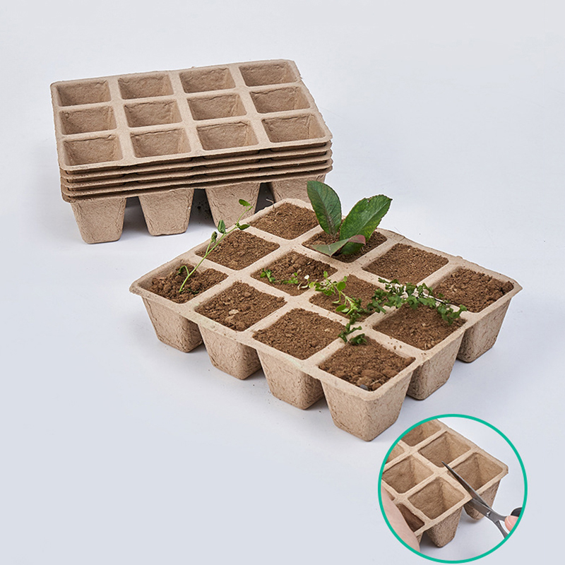 5 قطعة 12 حفرة صينية حضانة الن - مراجعة Seed Starter Tray وسعره