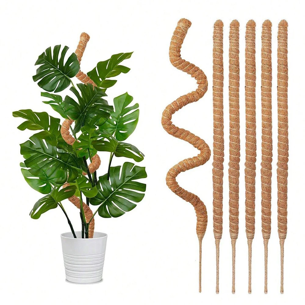 دعامات تثبيت نبات المونستيرا،  - مراجعة Indoor Herb Garden وسعره