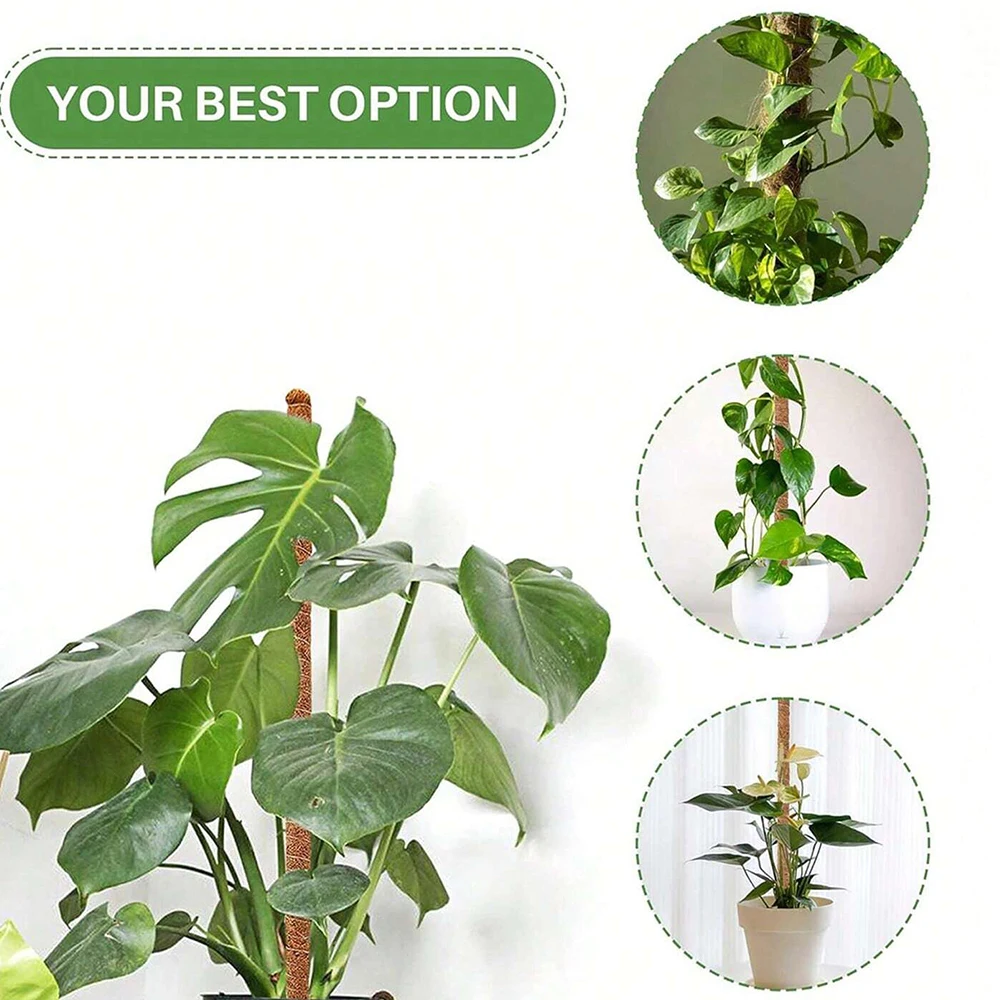 دعامات تثبيت نبات المونستيرا،  - مراجعة Indoor Herb Garden وسعره