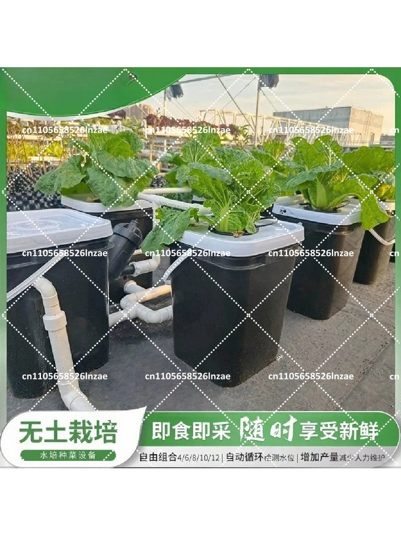 نظام زراعة مائية 4+1 8+1 RDWC، - مراجعة Hydroponic Kit وسعره