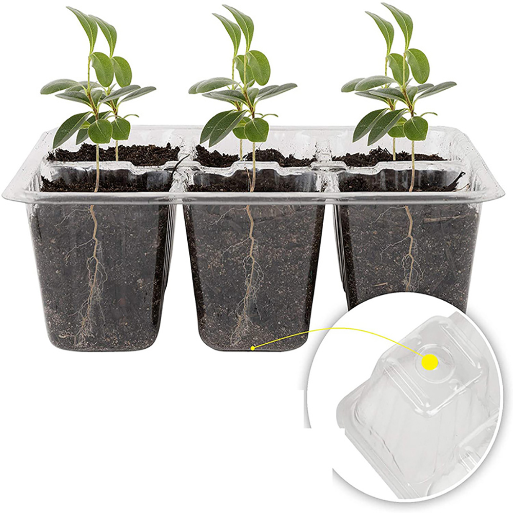 صواني بداية البذور مع ضوء النم - مراجعة Seed Starter Tray وسعره