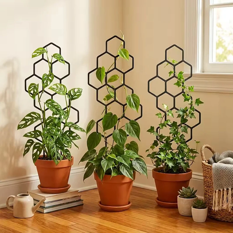 2/4 قطع دعامات نباتات بلاستيكي - مراجعة Indoor Herb Garden وسعره