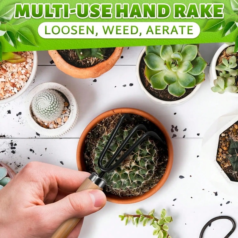 طقم أدوات حدائق صغيرة محمولة م - مراجعة Indoor Herb Garden وسعره