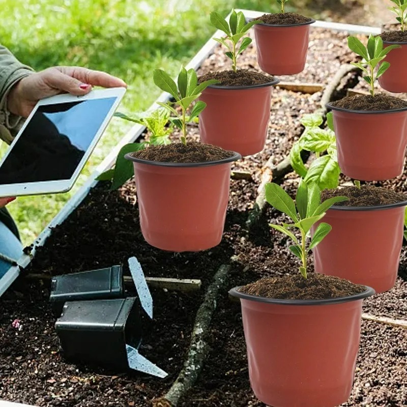 100/20x أوعية زراعة الشتلات با - مراجعة Seed Starter Tray وسعره