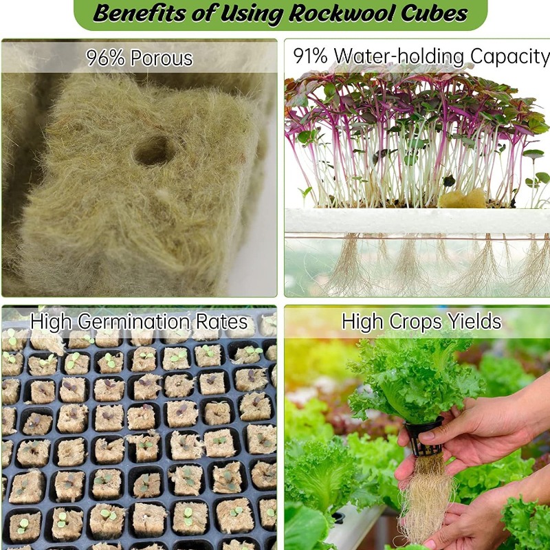 72 عبوة من مكعبات الصوف الصخري - مراجعة Hydroponic Kit وسعره