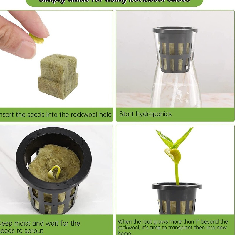 72 عبوة من مكعبات الصوف الصخري - مراجعة Hydroponic Kit وسعره